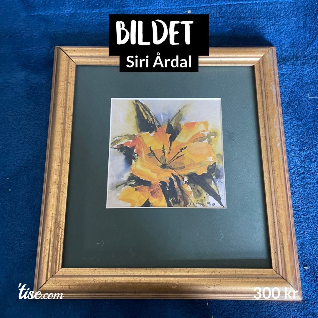 Bildet