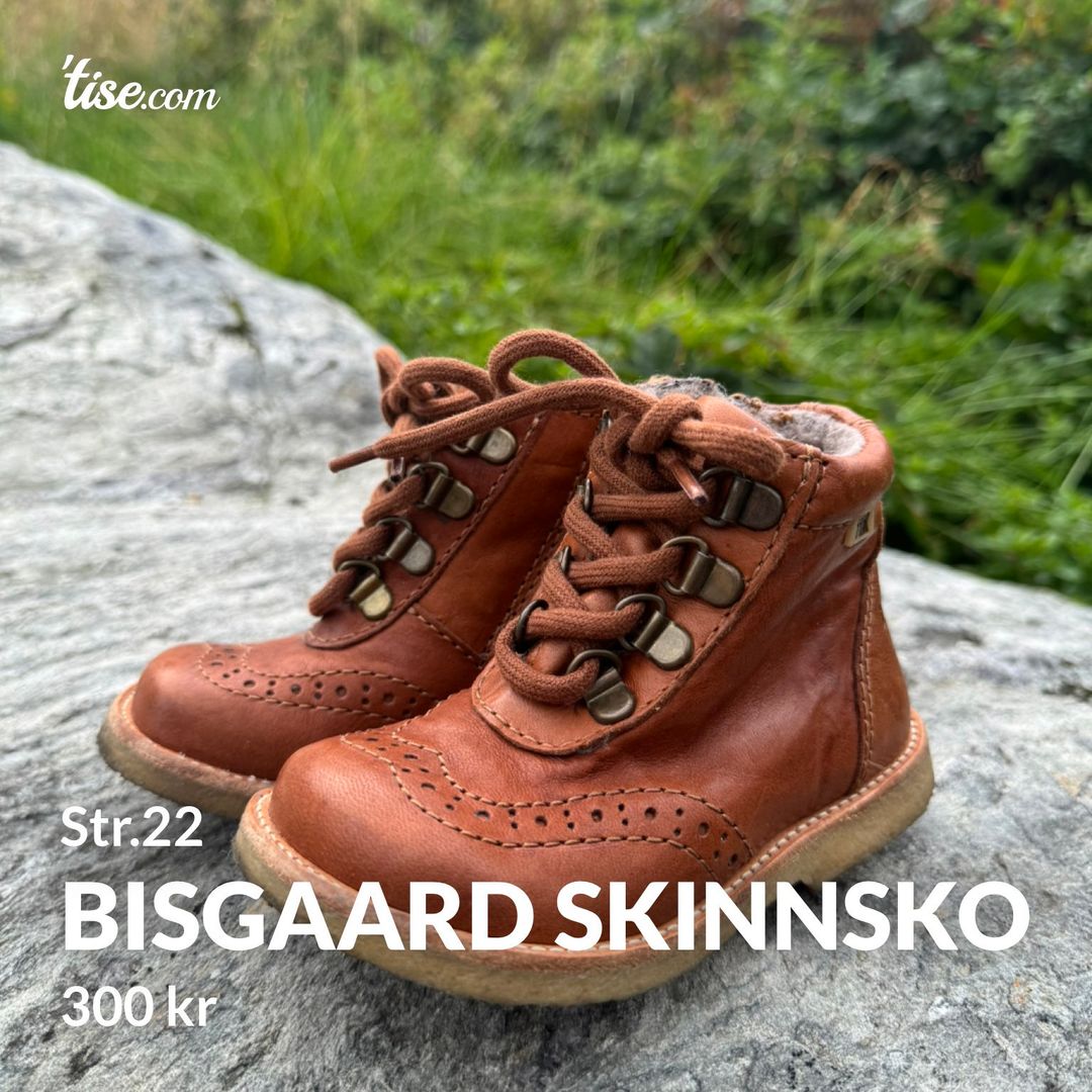 Bisgaard skinnsko