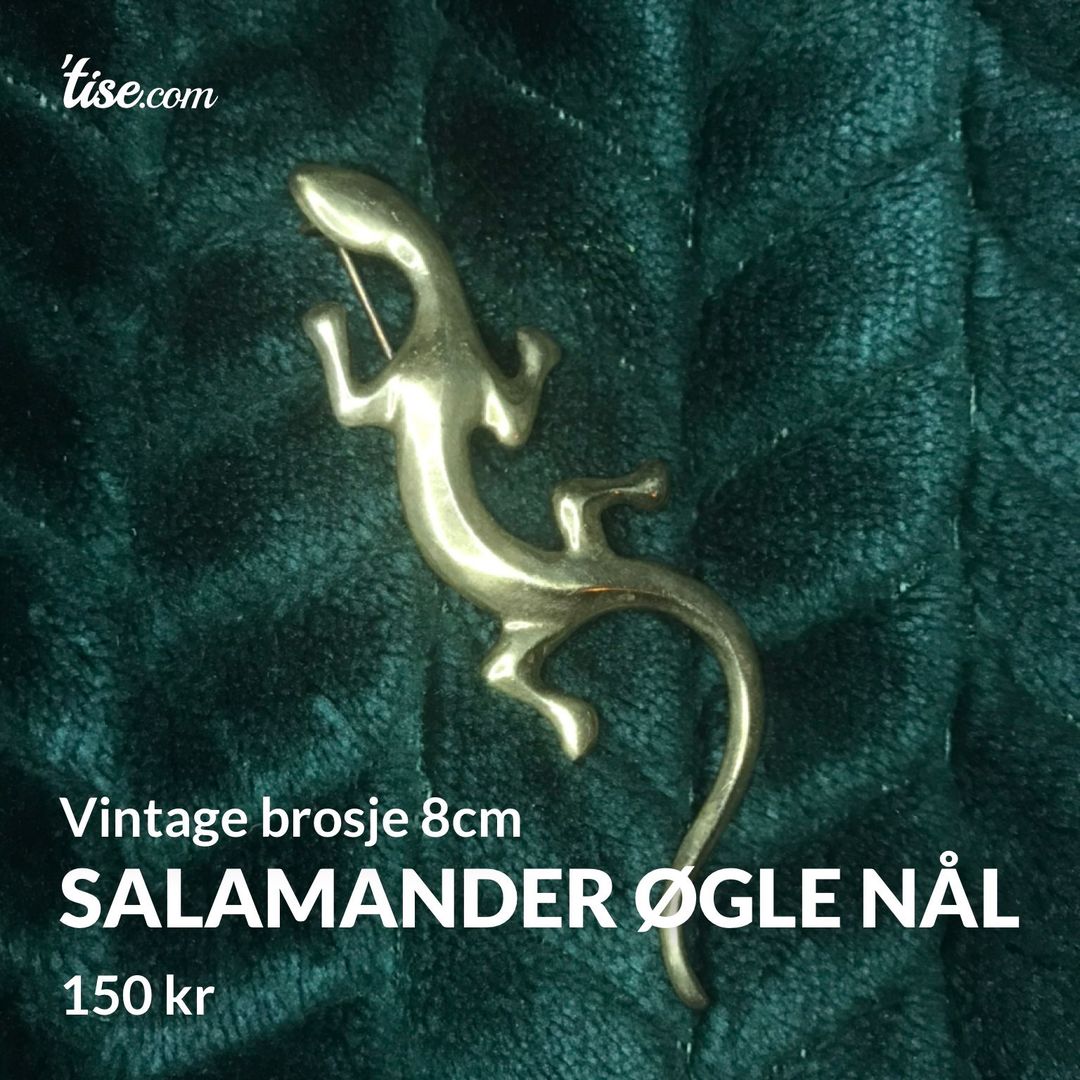 Salamander øgle nål