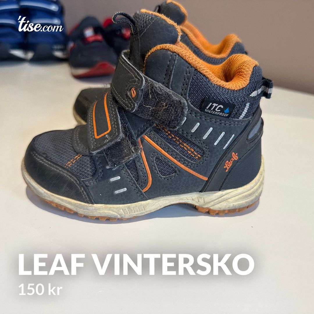 Leaf vintersko