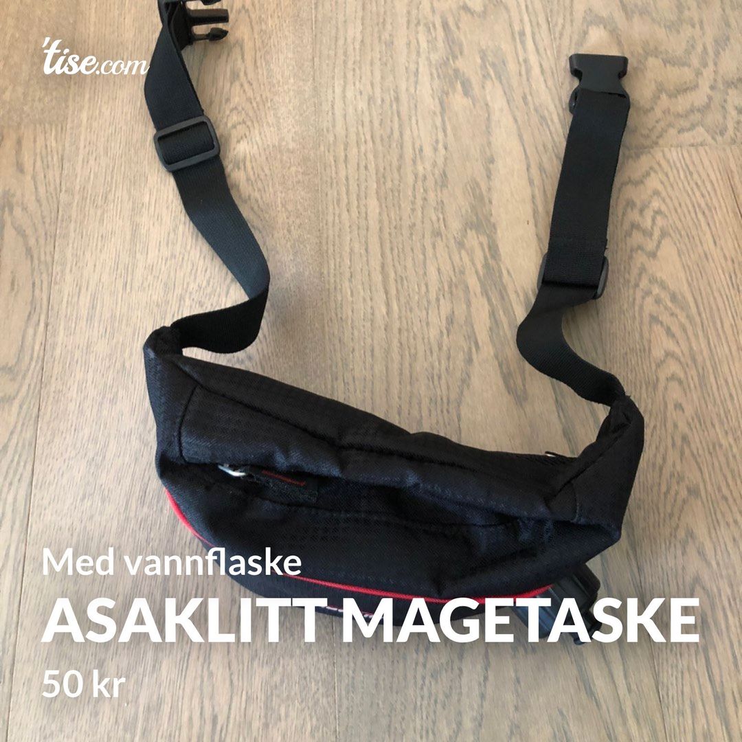 Asaklitt magetaske