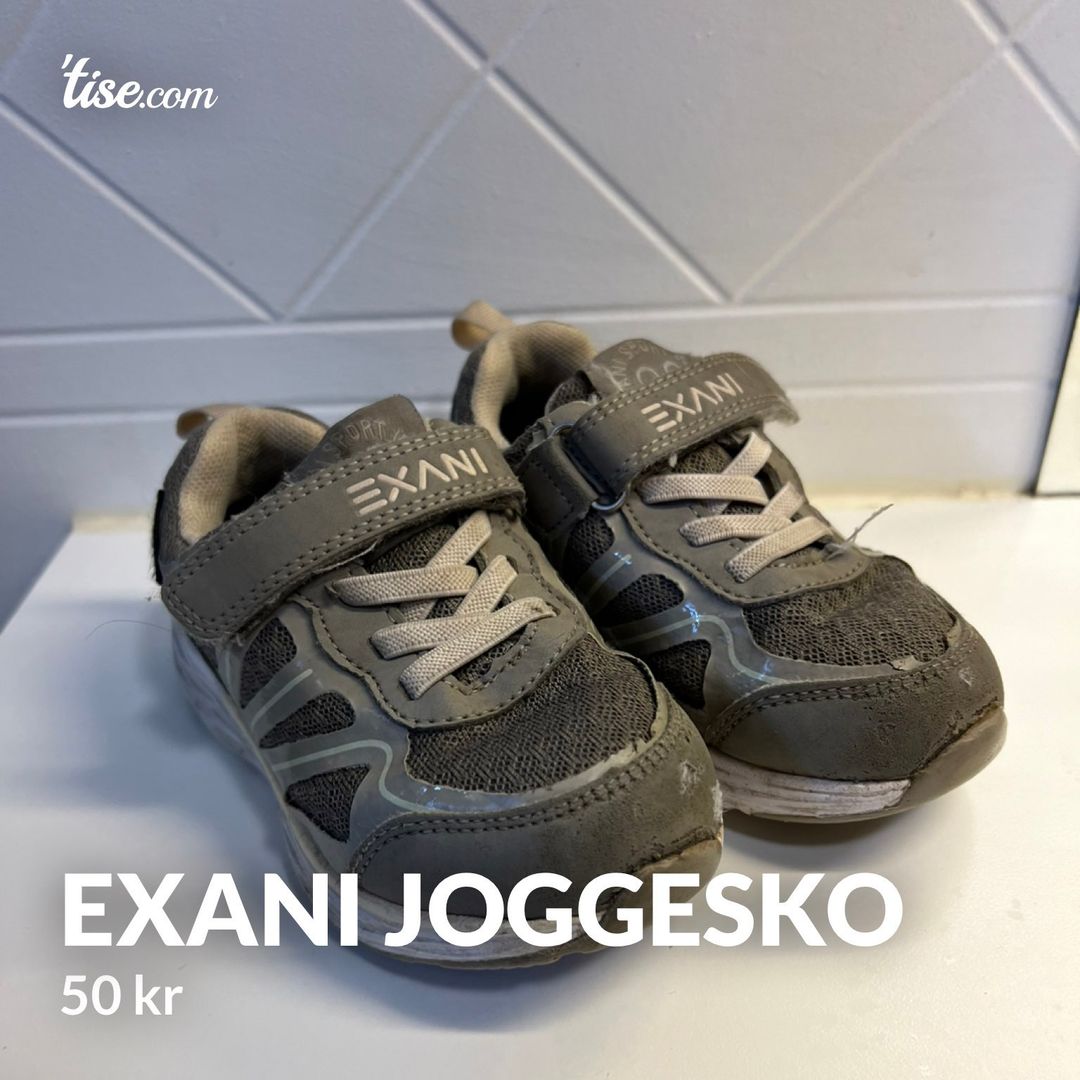 Exani joggesko