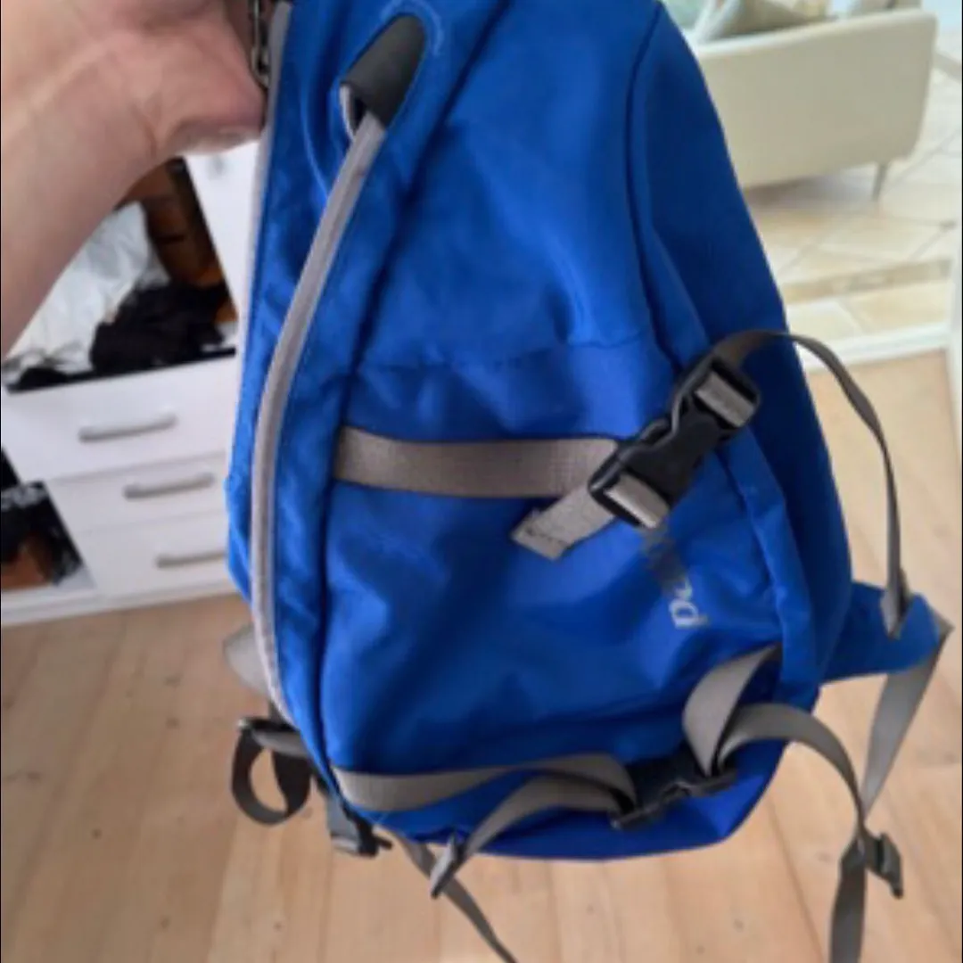 Patagonia sling bag