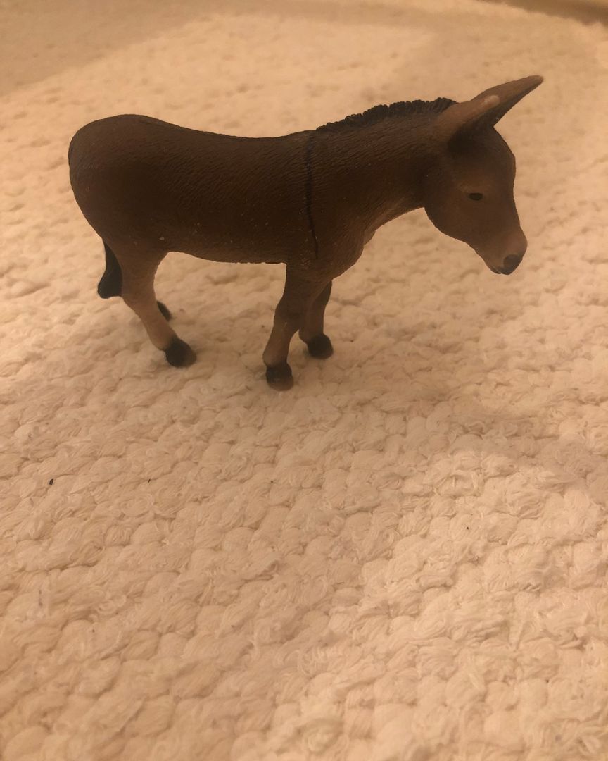 Schleich aasi