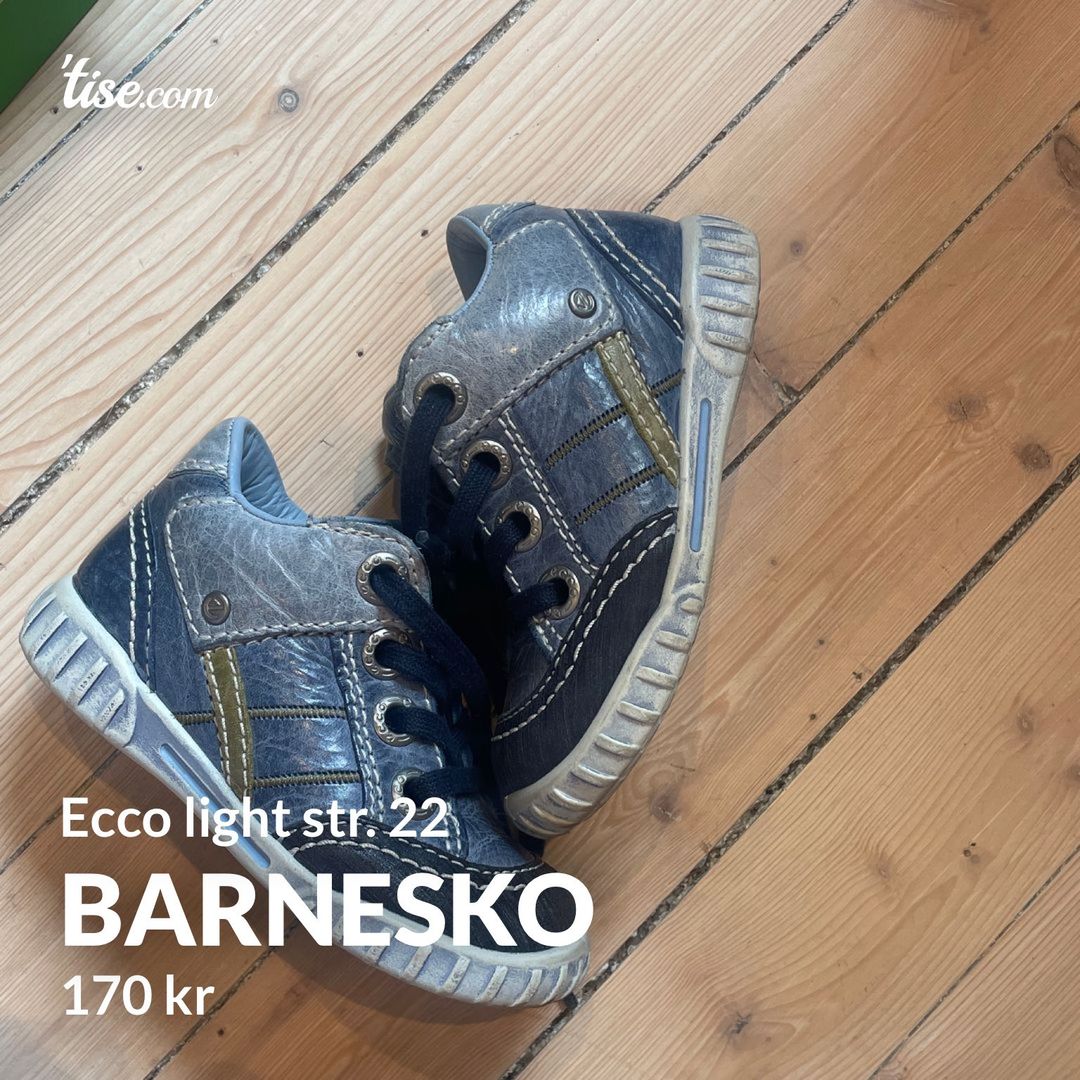 Barnesko