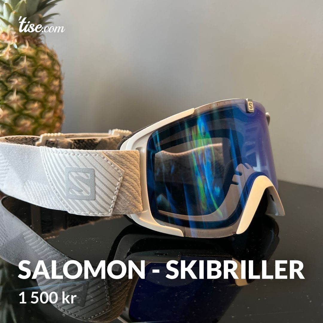 Salomon - skibriller