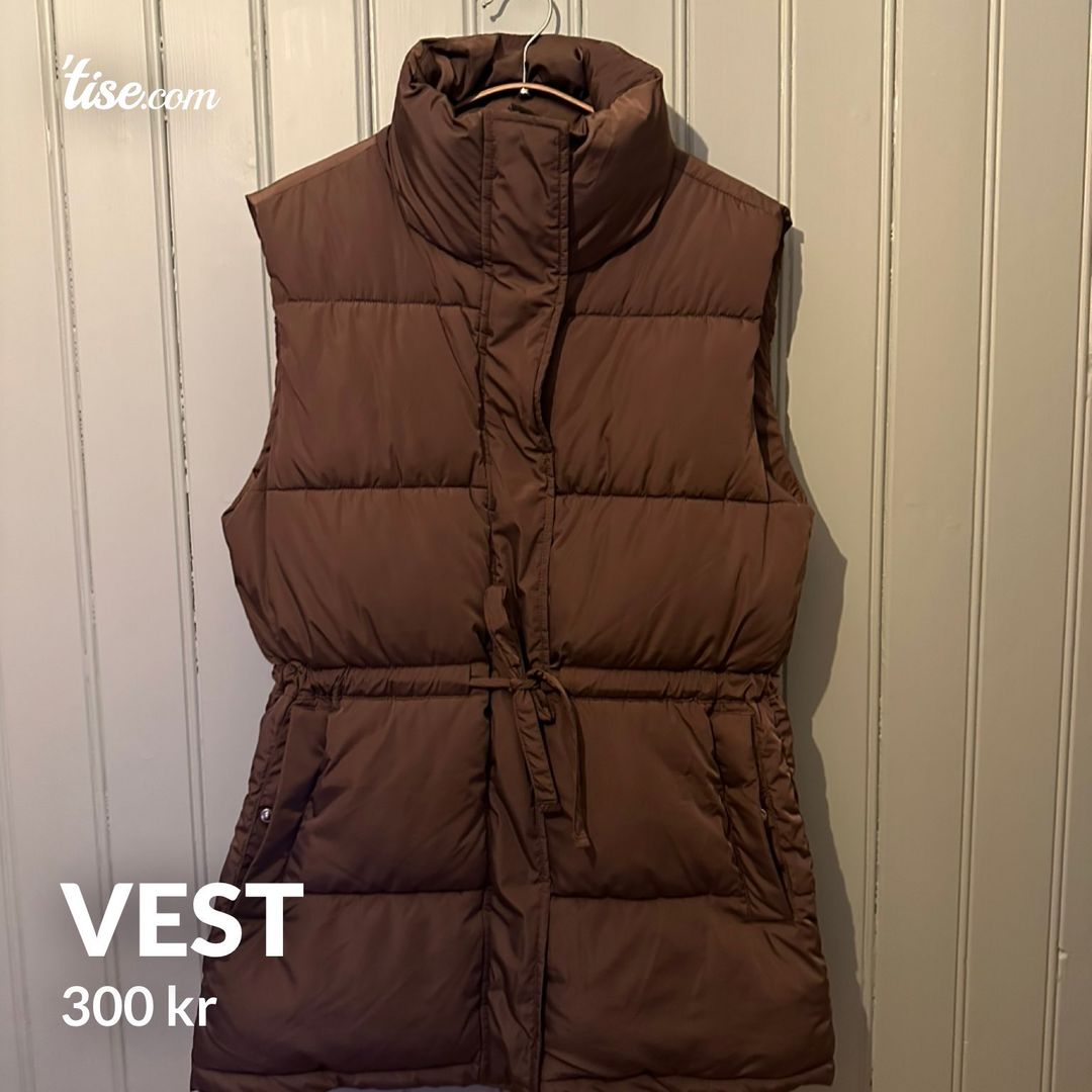 Vest