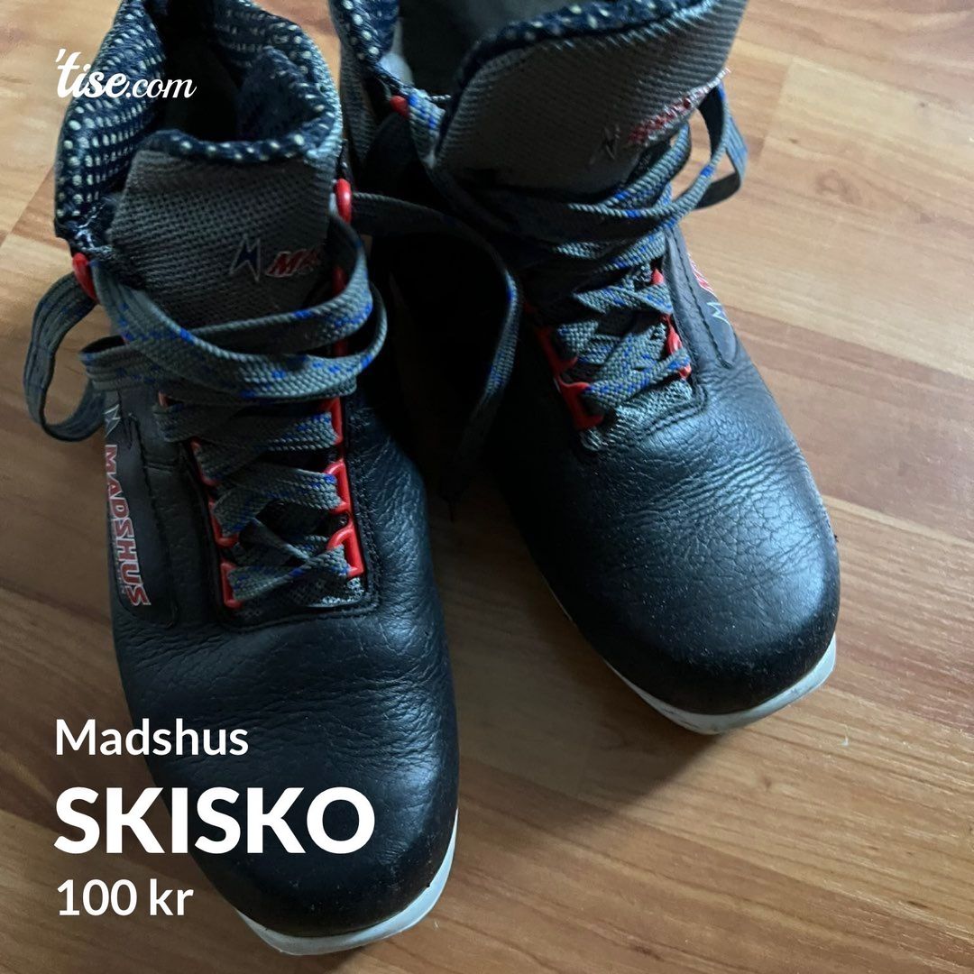 Skisko