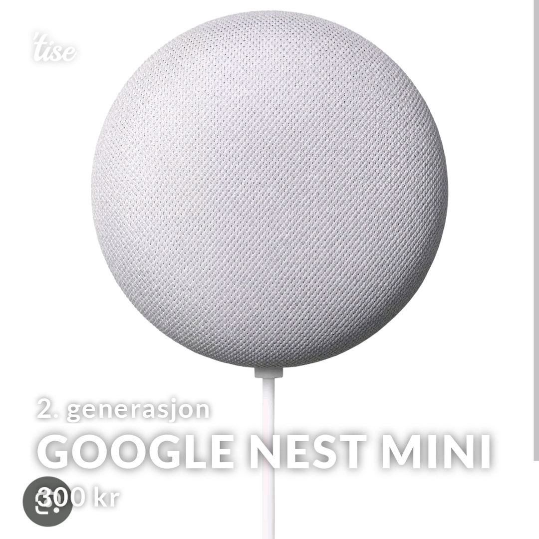 Google Nest Mini