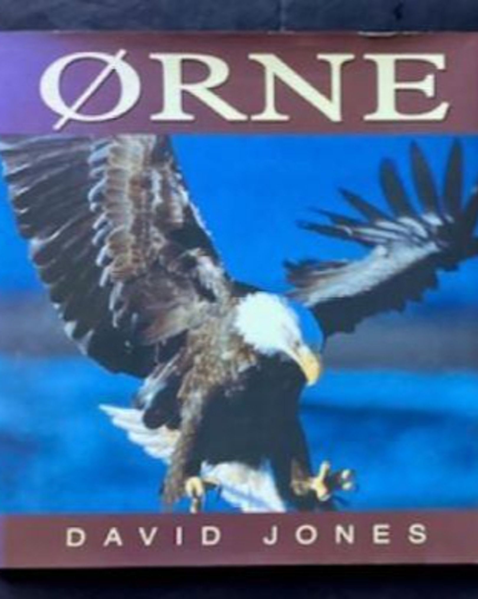 David Jones: Ørne