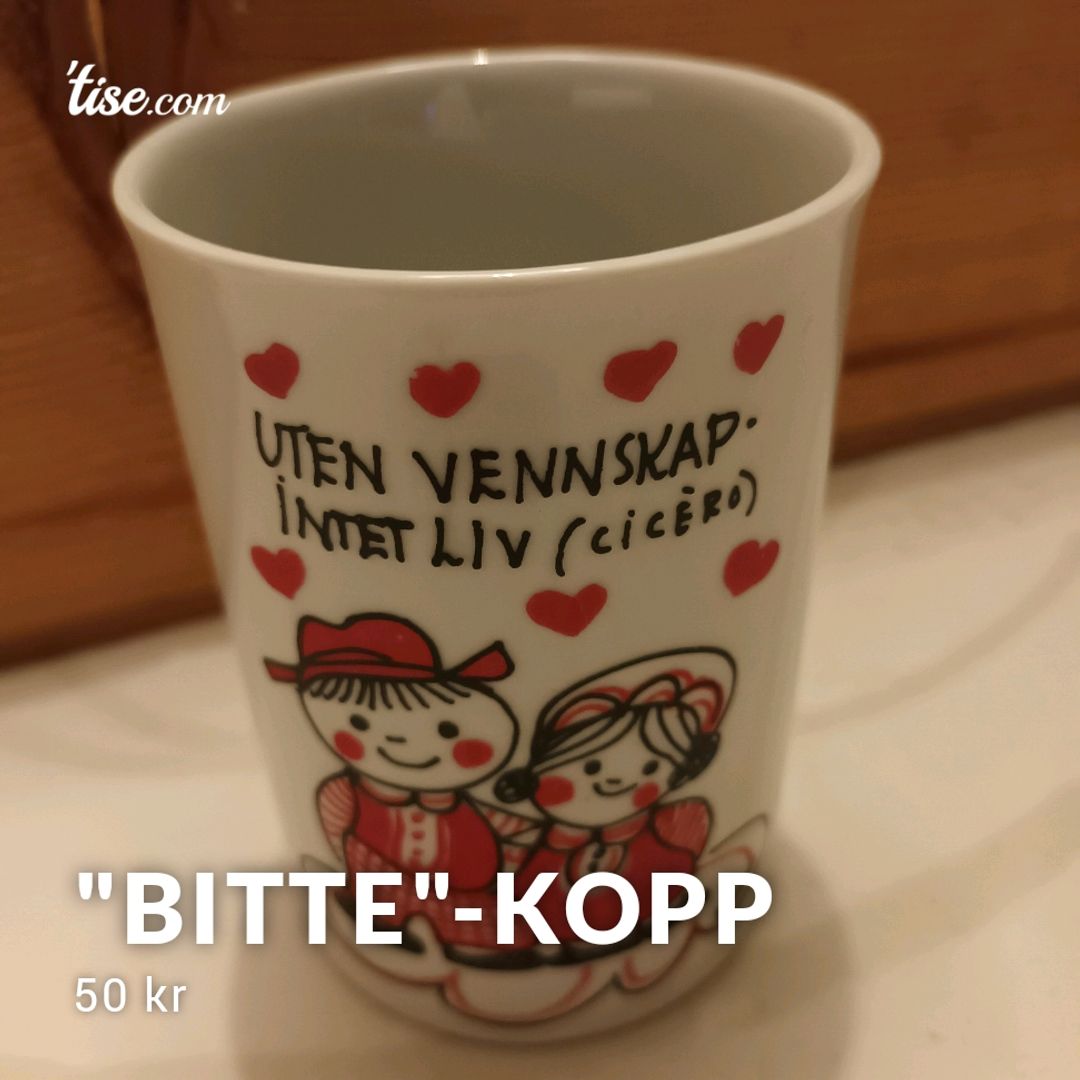 "Bitte"-kopp