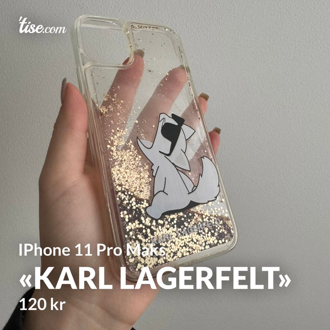 «Karl lagerfelt»