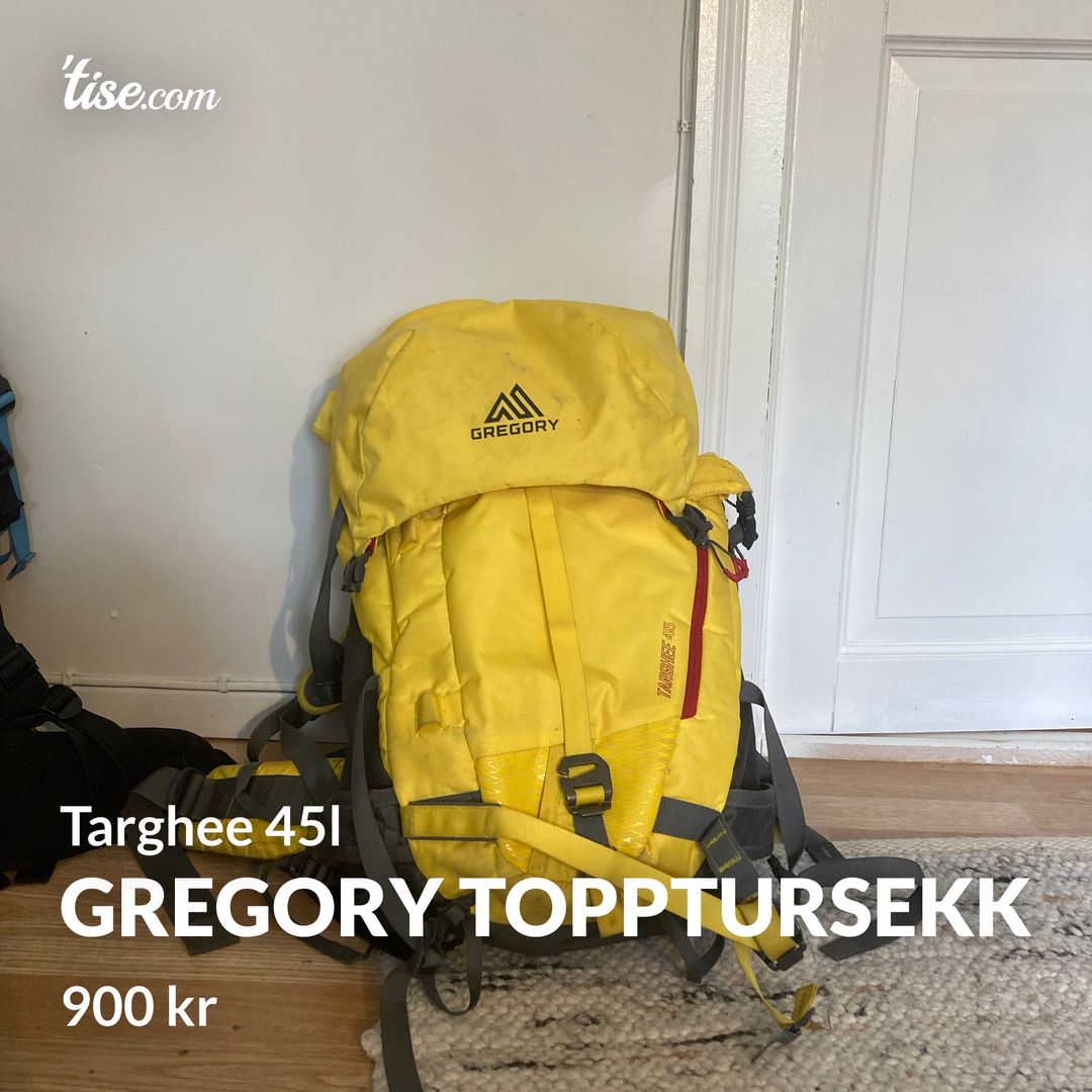 Gregory topptursekk