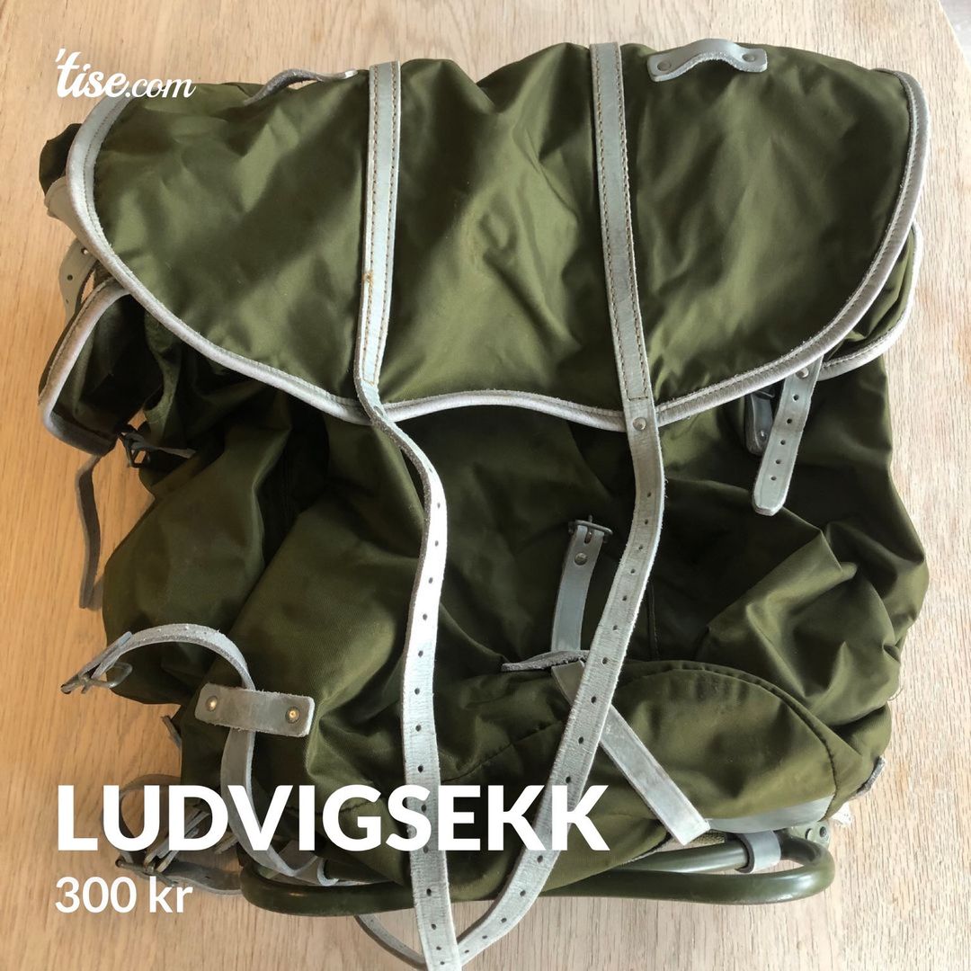 Ludvigsekk