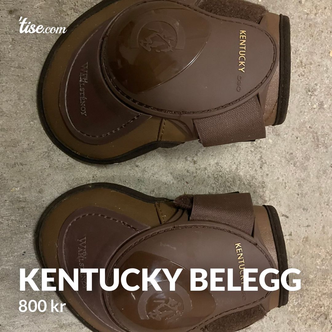 Kentucky belegg