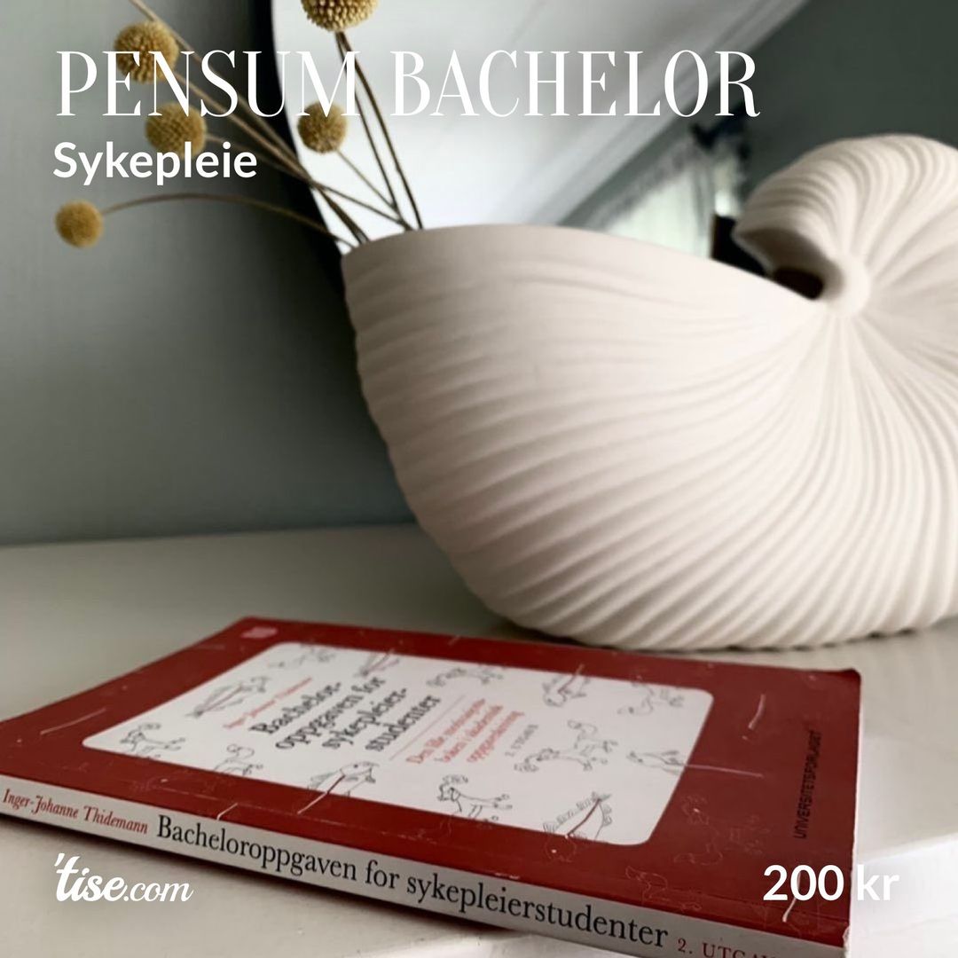 Pensum bachelor