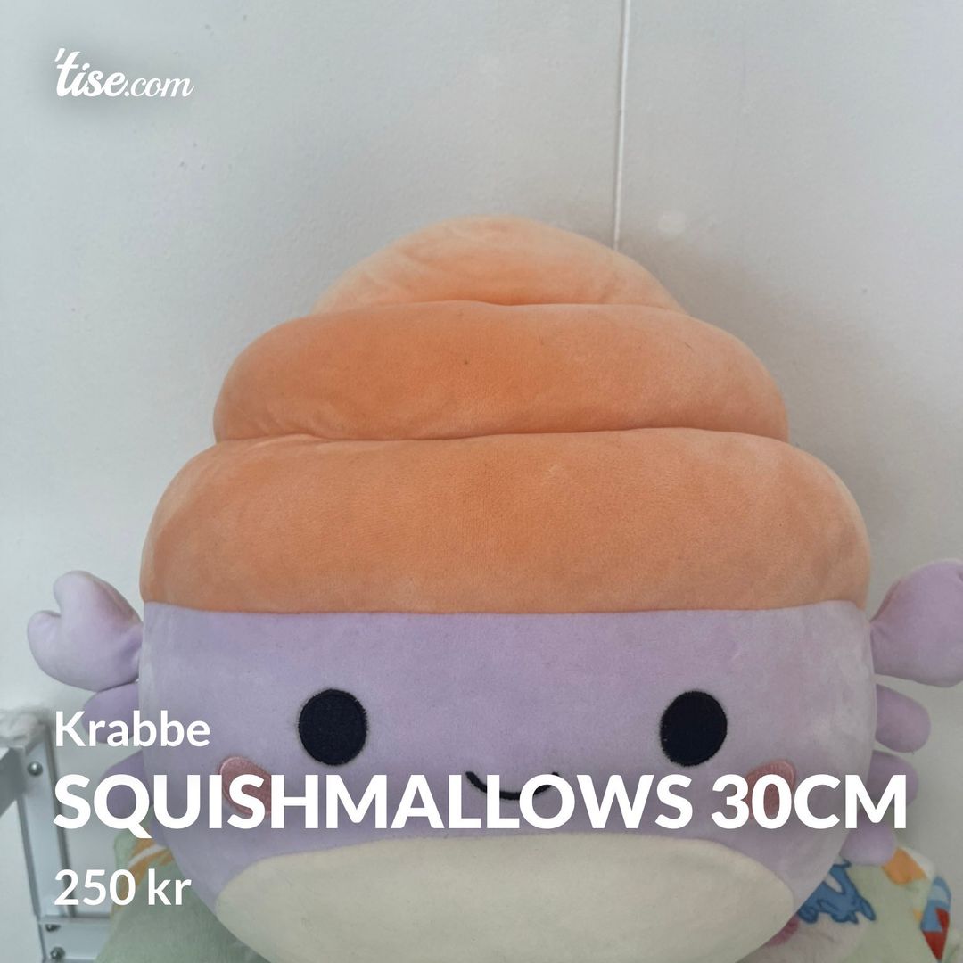 Squishmallows 30cm