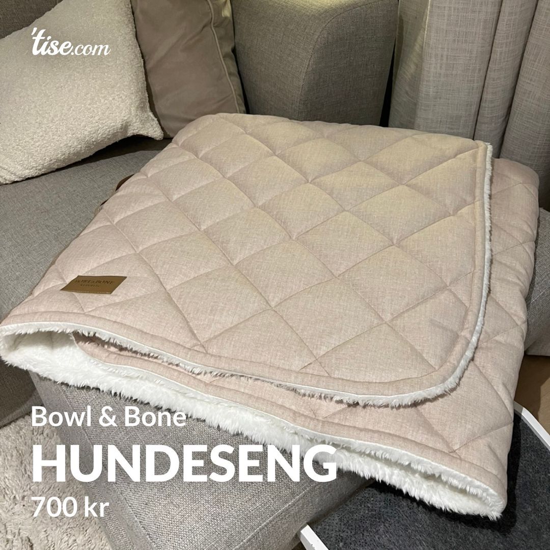 Hundeseng