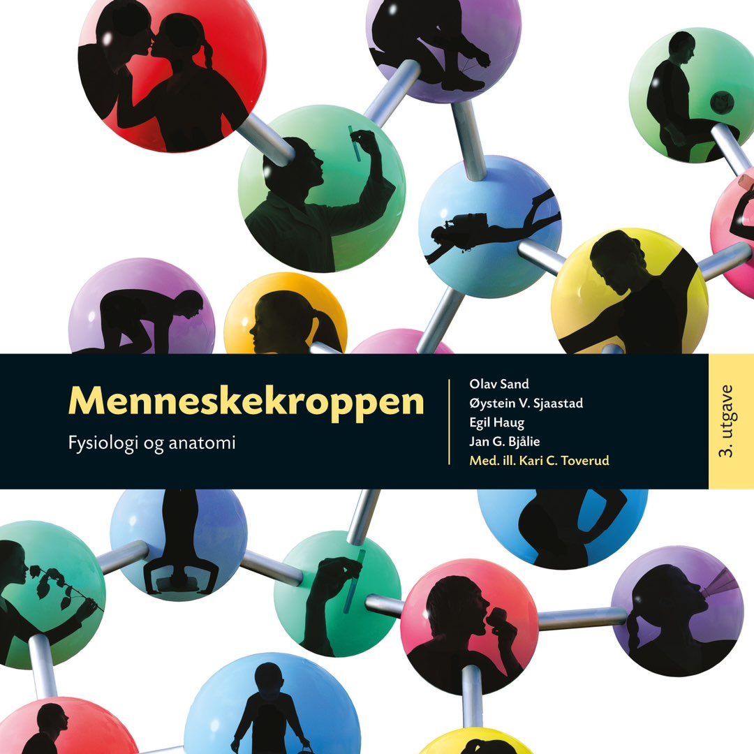 Menneskekroppen