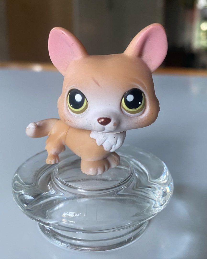 Lps corgi