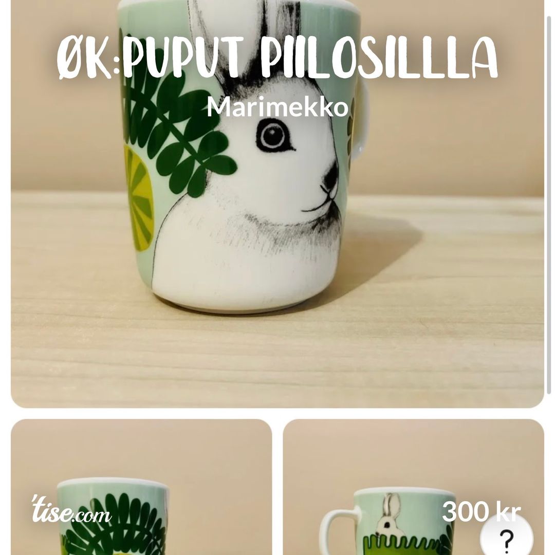 ØK:Puput Piilosillla