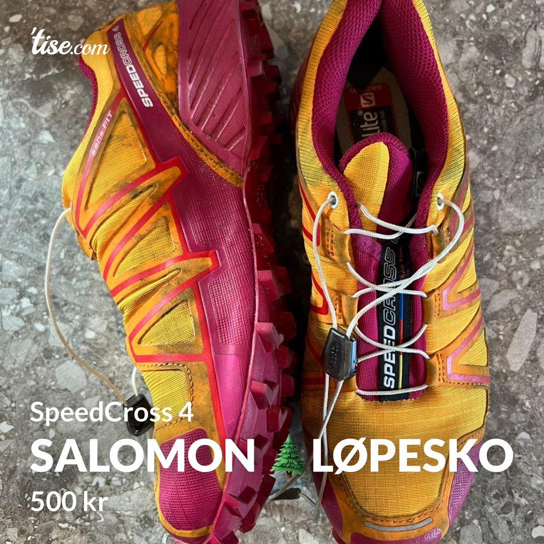 Salomon 🌲løpesko