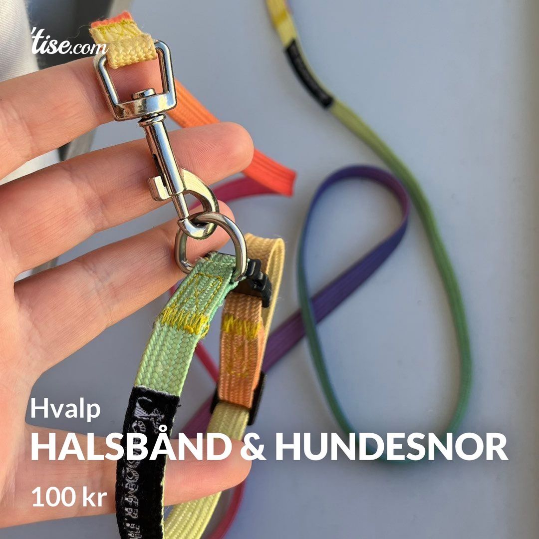 Halsbånd  hundesnor