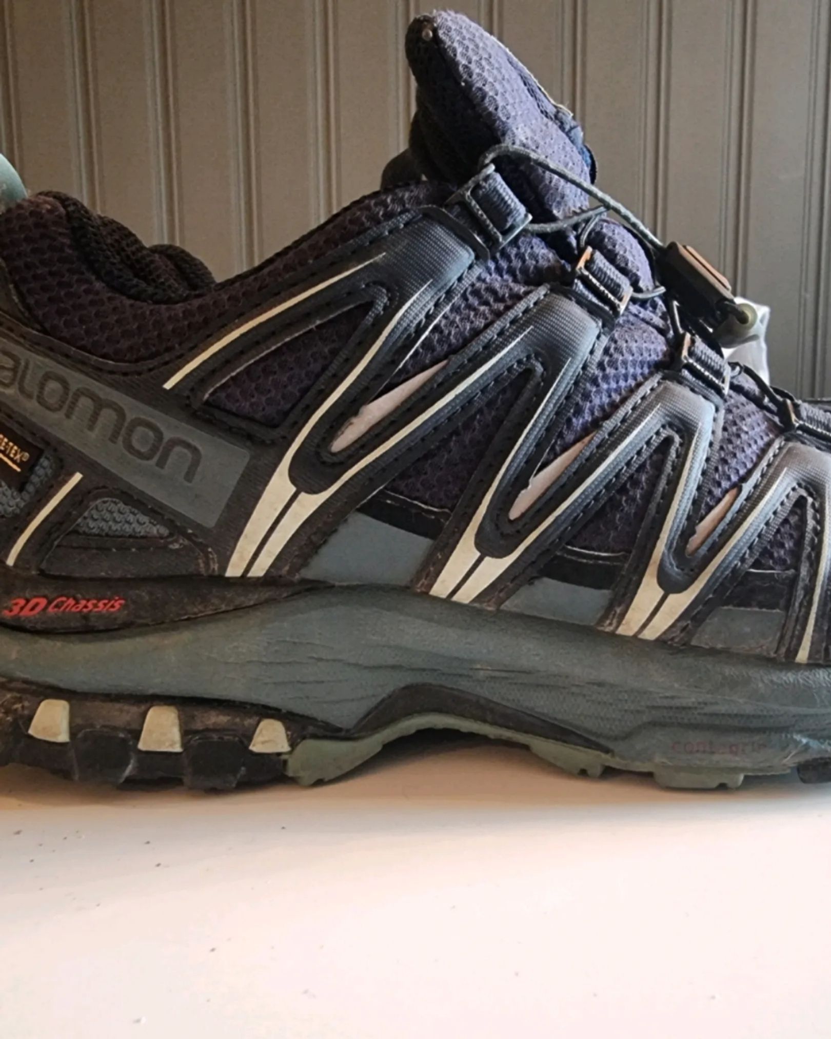 Salomon XA PRO 3D