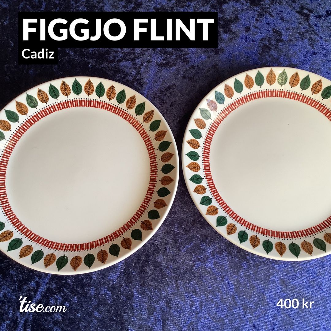 Figgjo Flint