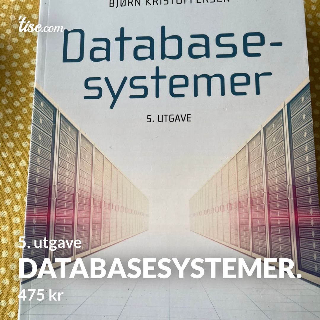 Databasesystemer