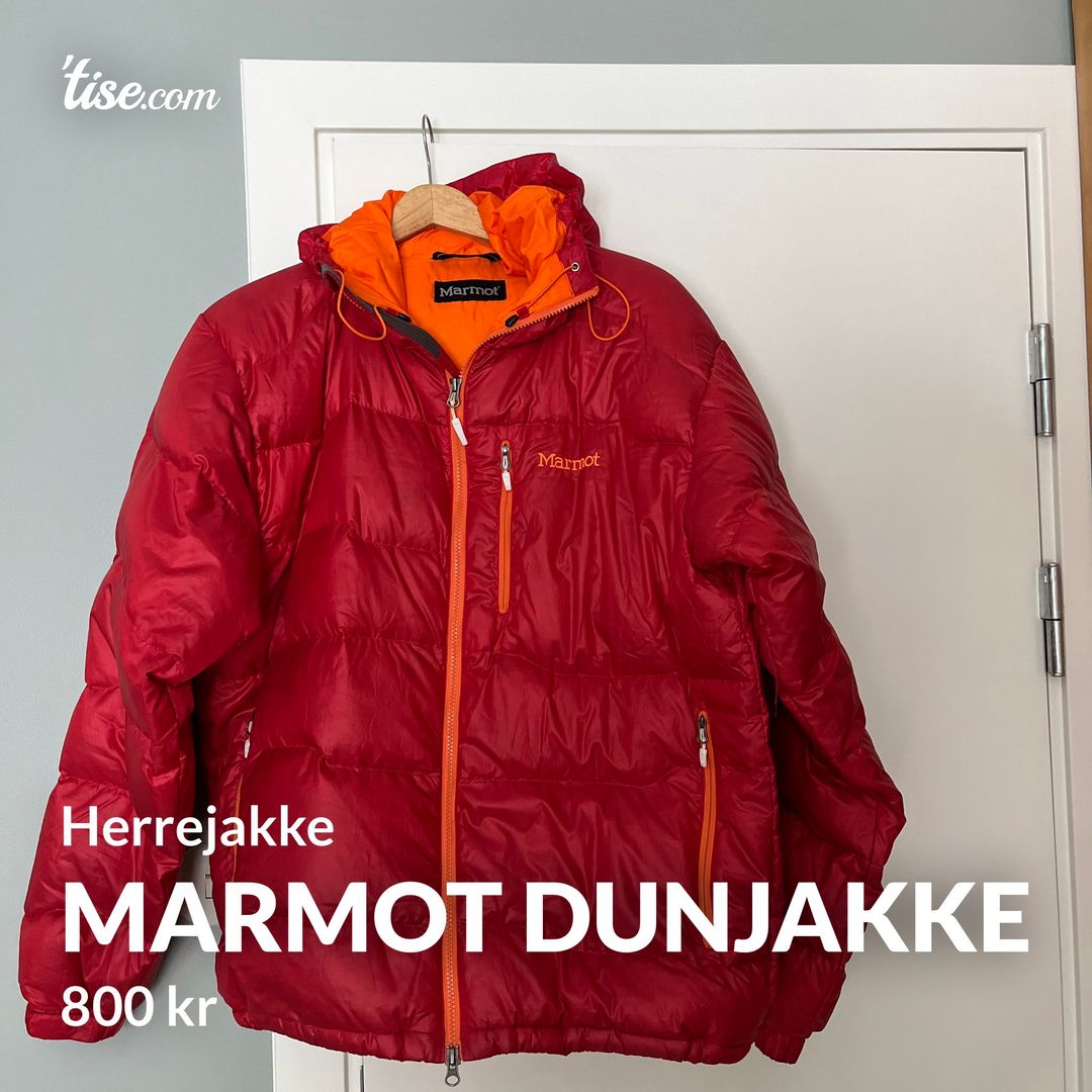 Marmot dunjakke