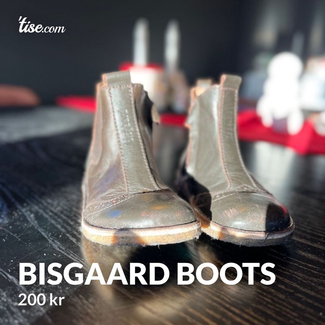 Bisgaard boots