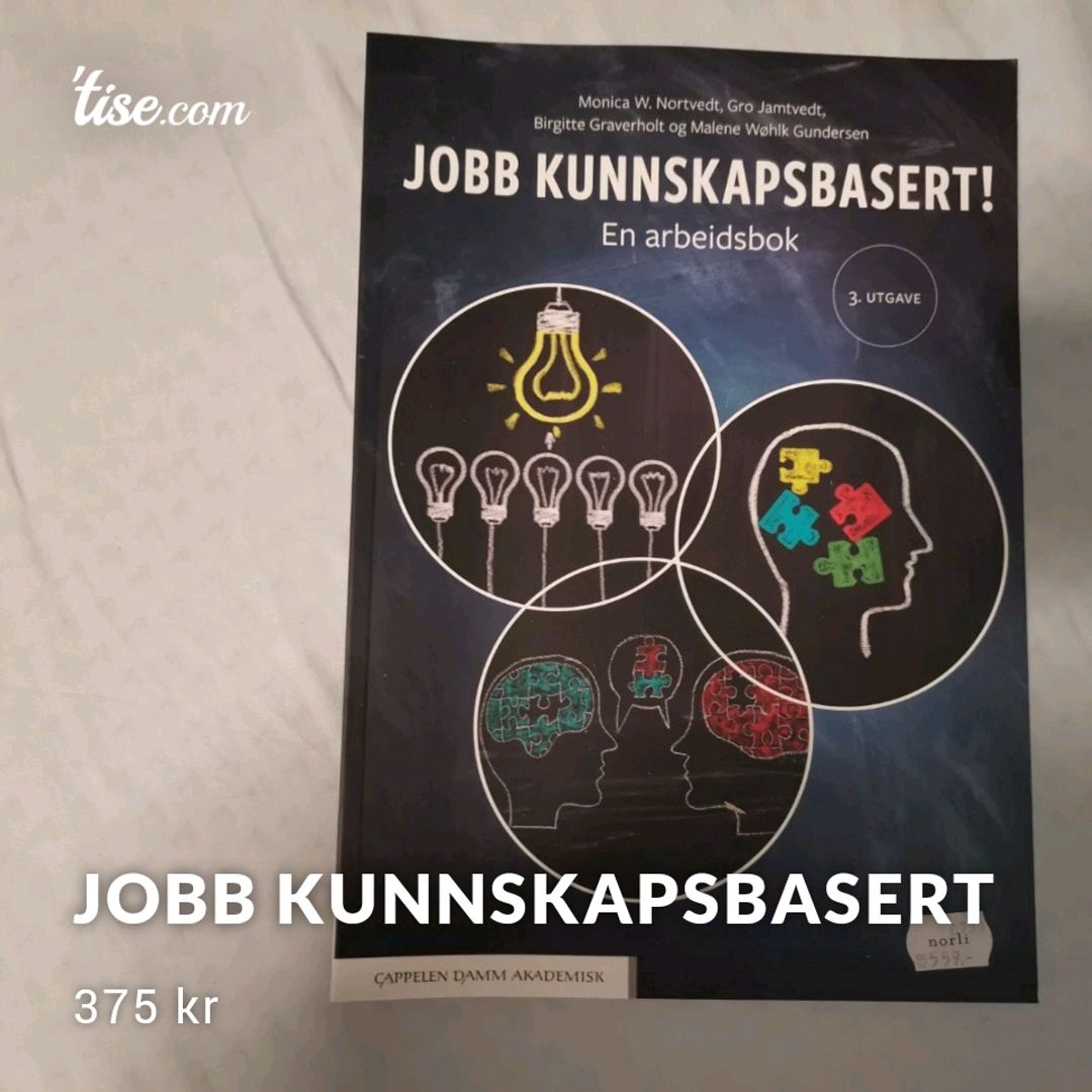 Jobb Kunnskapsbasert