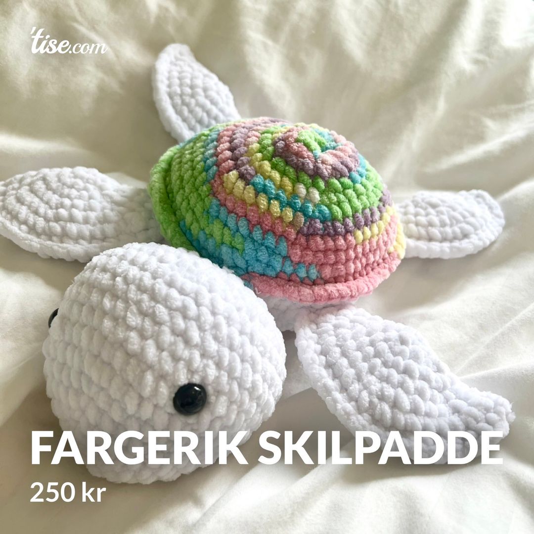 Fargerik skilpadde