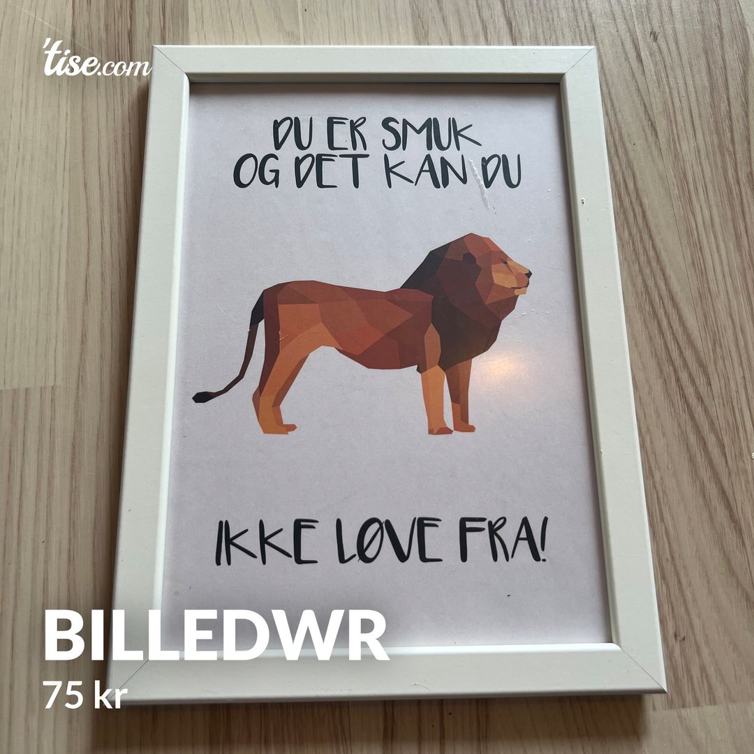 Billedwr