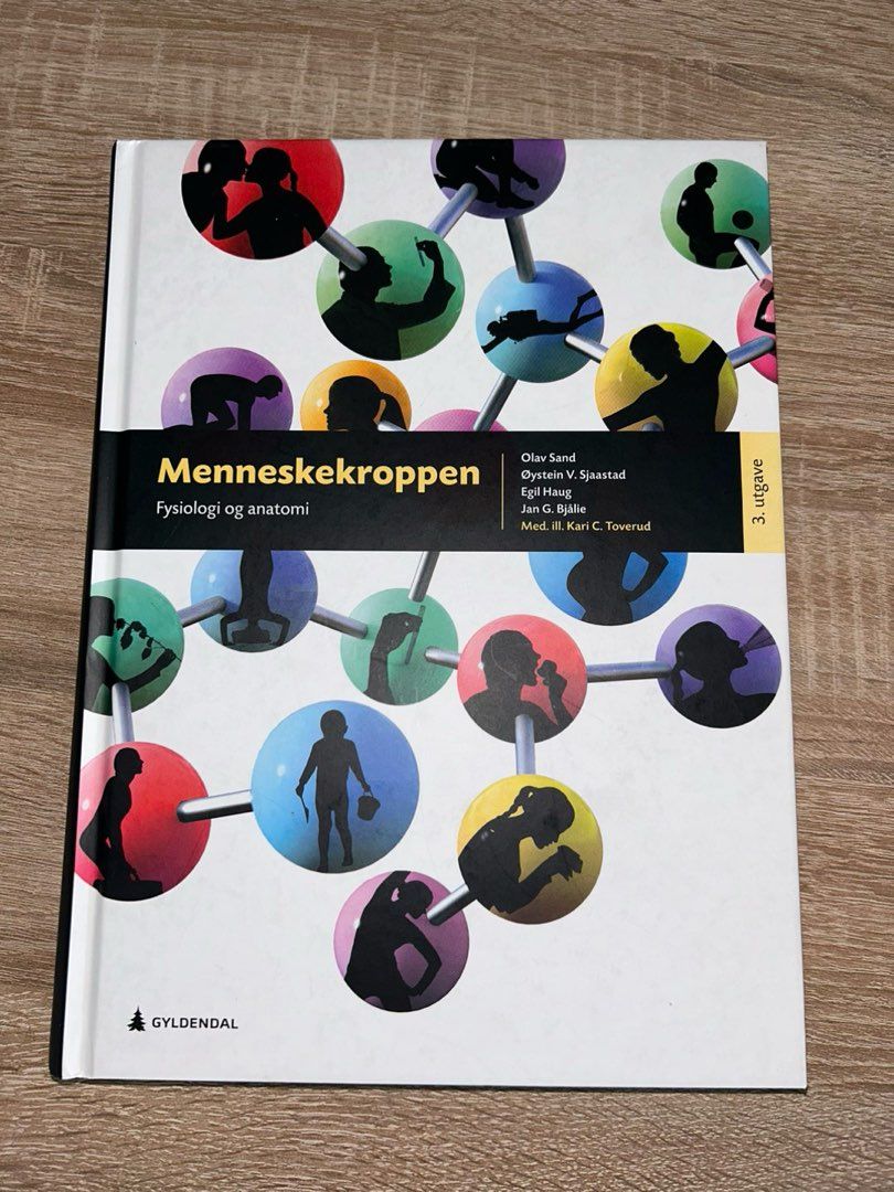 Menneskekroppen