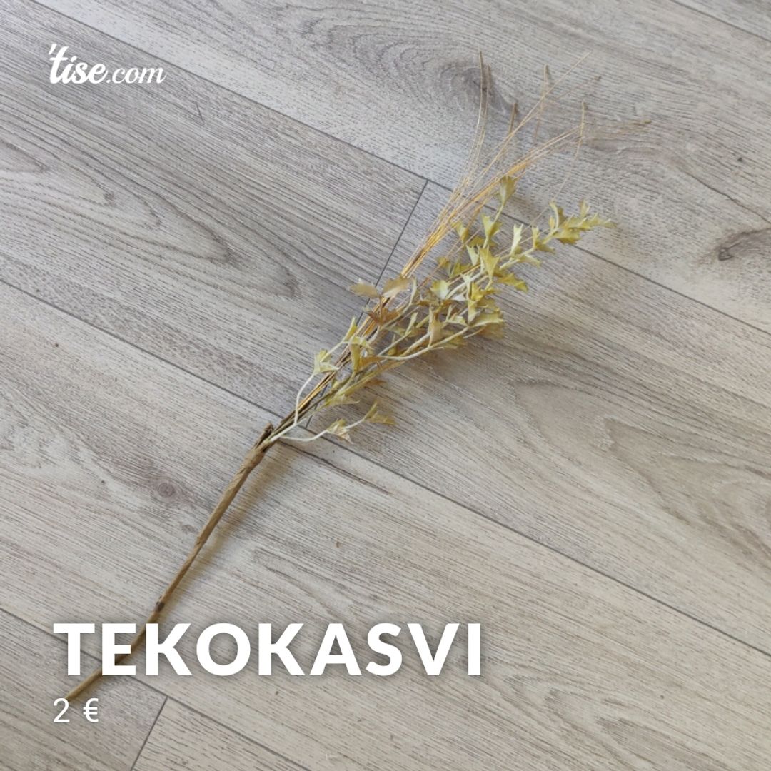 Tekokasvi