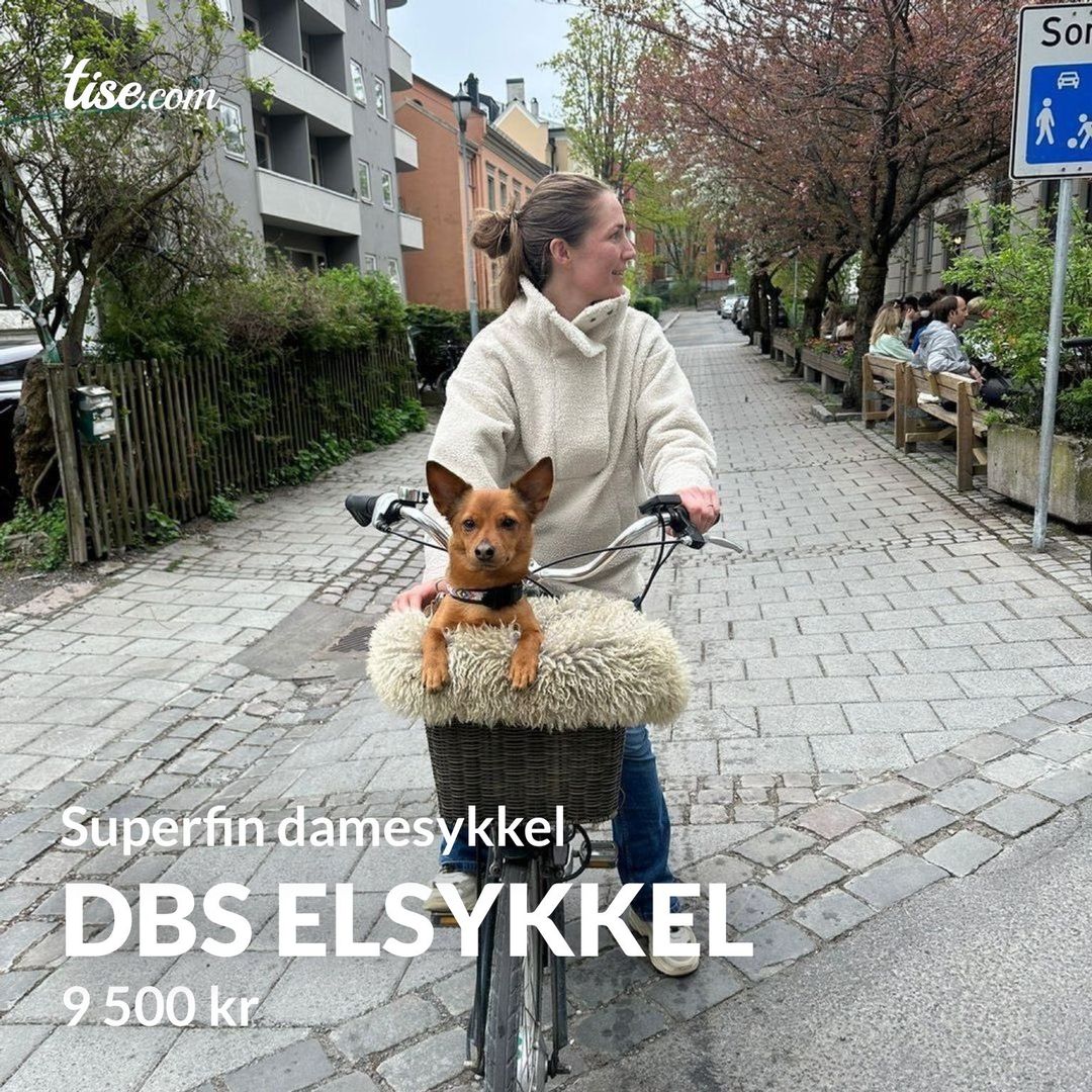 DBS Elsykkel