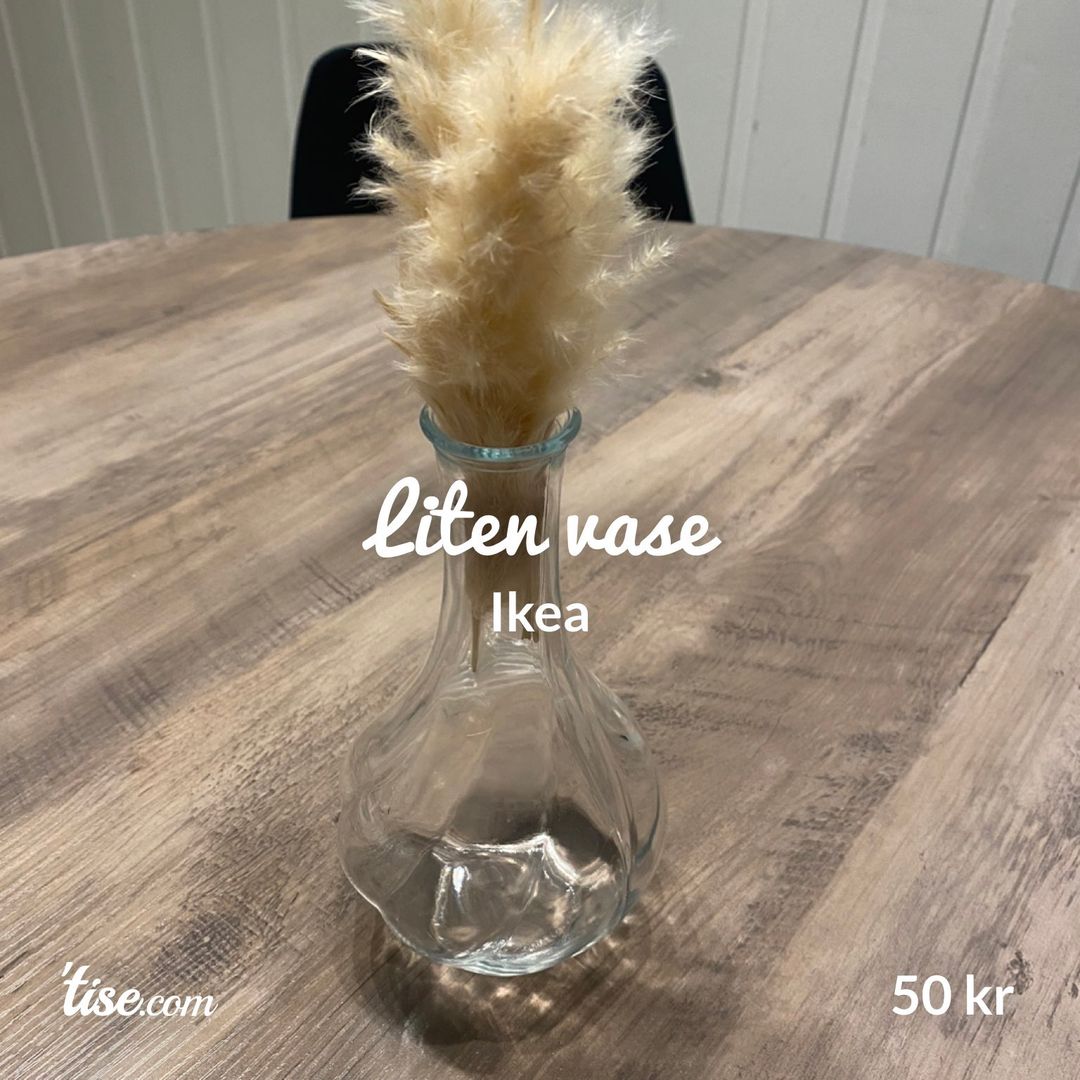 Liten vase