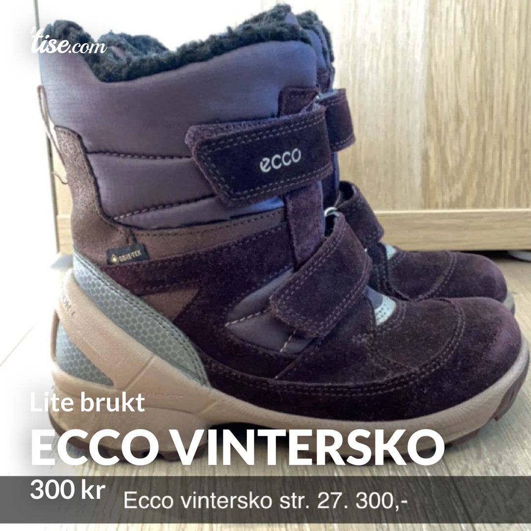 Ecco vintersko