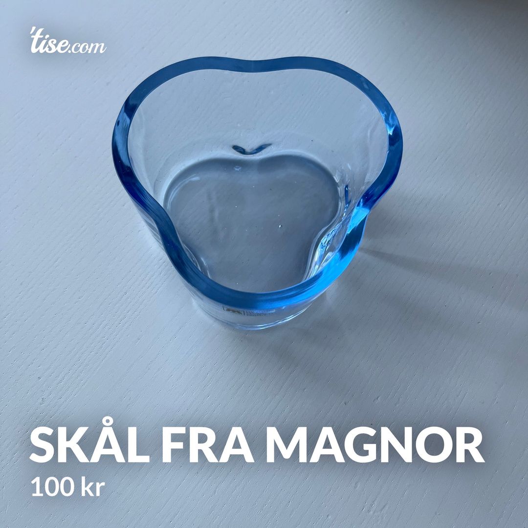 Skål fra Magnor