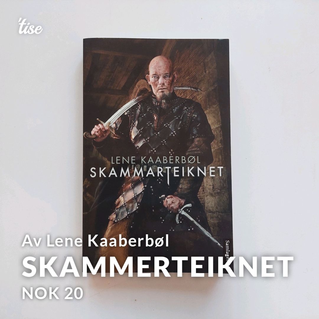 Skammerteiknet