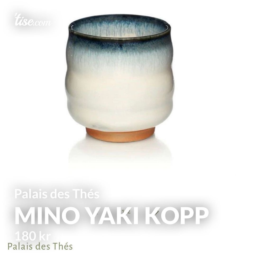 Mino Yaki kopp