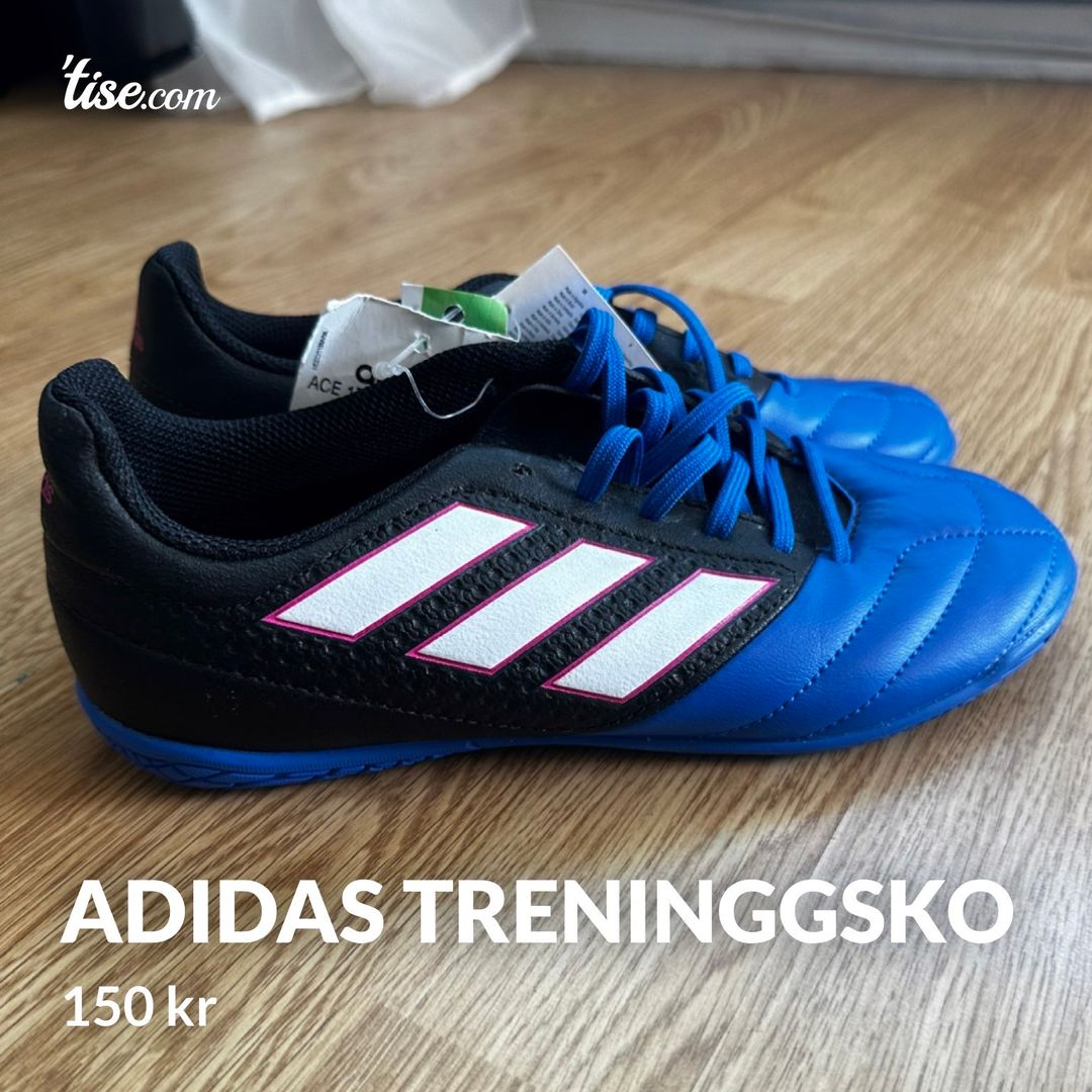 Adidas treninggsko