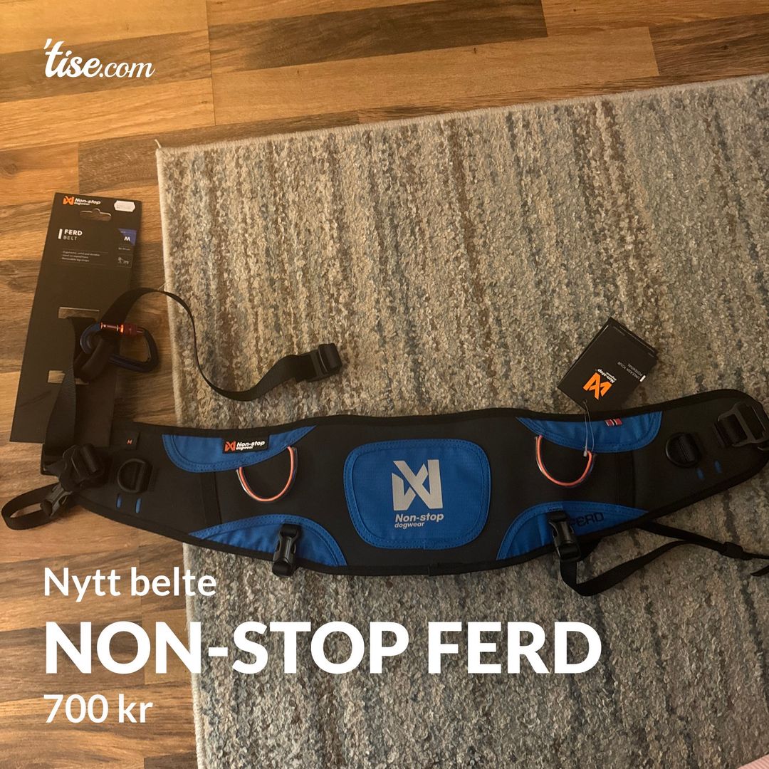 Non-Stop Ferd