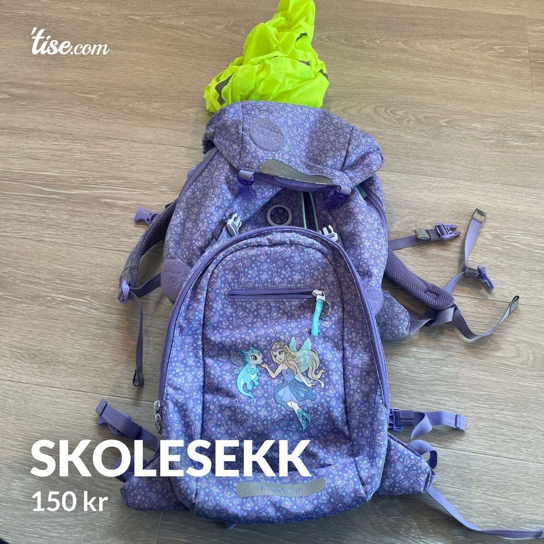 Skolesekk