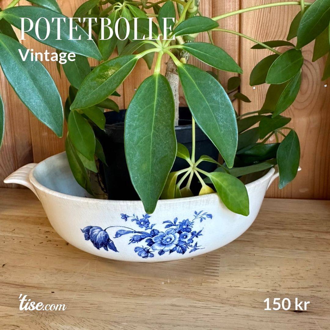 Potetbolle