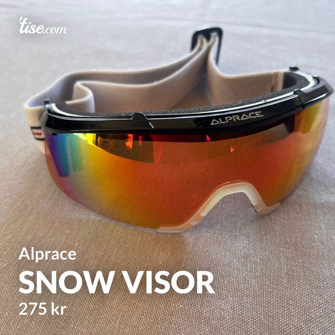 Snow visor