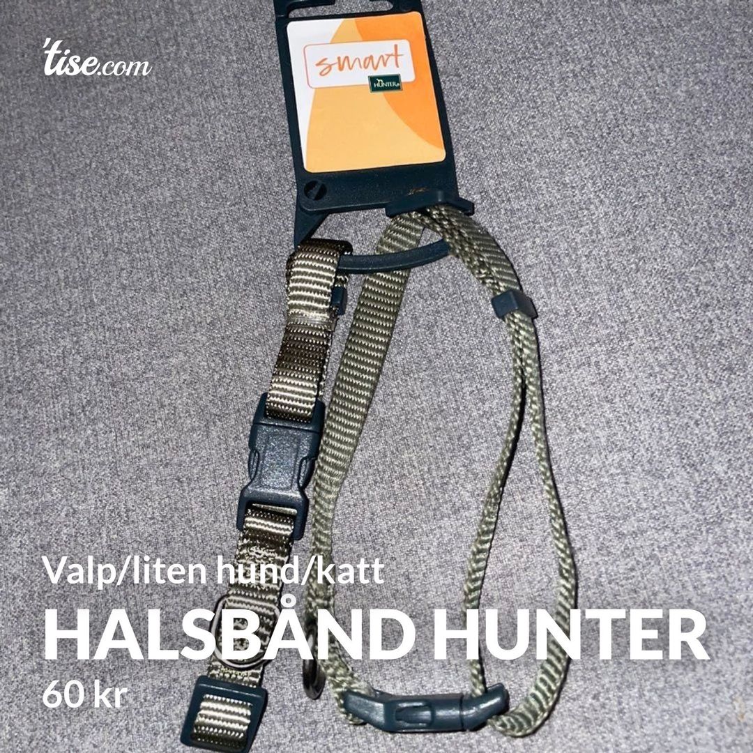 Halsbånd Hunter