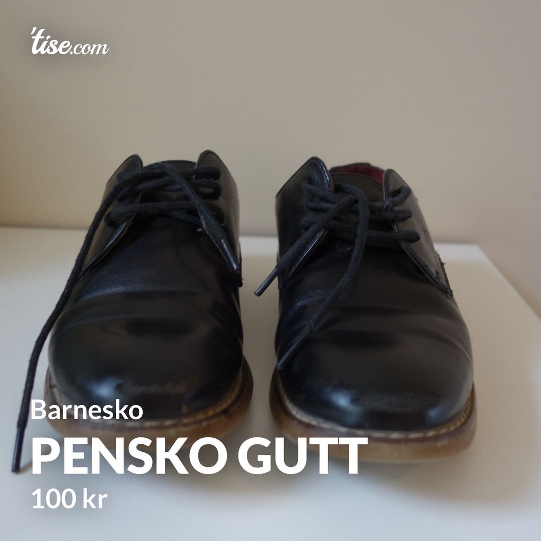 Pensko gutt